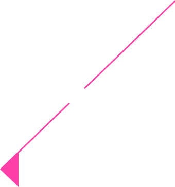 Pink Triangular Flag with Long Stick